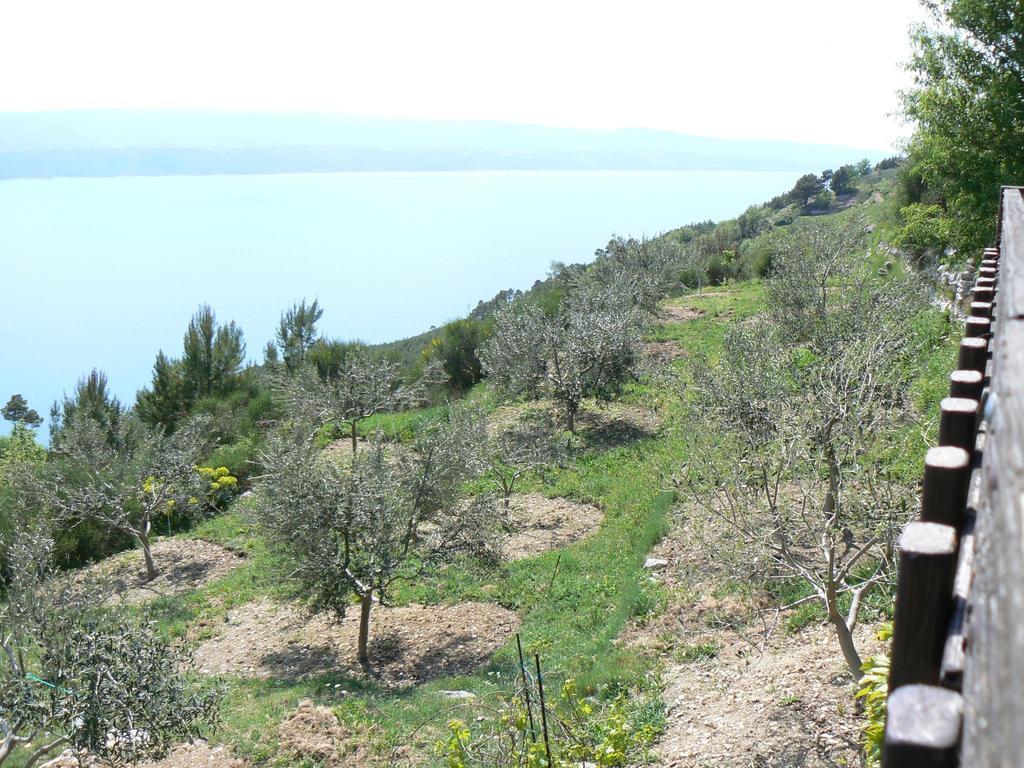 Charismatic Garden Cottage With Sea View Lokva Rogoznica Esterno foto