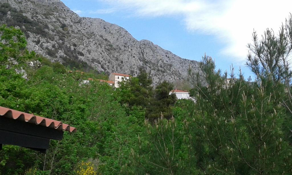 Charismatic Garden Cottage With Sea View Lokva Rogoznica Esterno foto