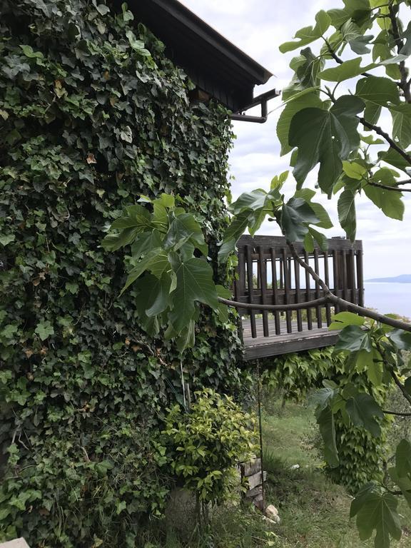 Charismatic Garden Cottage With Sea View Lokva Rogoznica Esterno foto